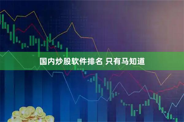 国内炒股软件排名 只有马知道