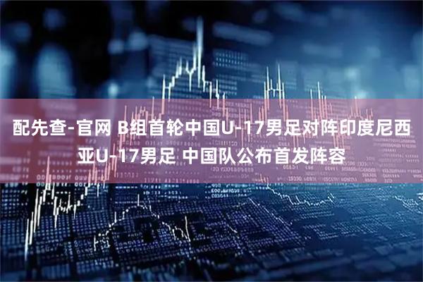 配先查-官网 B组首轮中国U-17男足对阵印度尼西亚U-17男足 中国队公布首发阵容